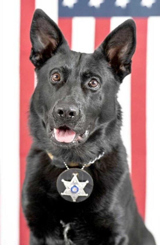 Florence K9 fundraiser planned on Saturday News, Sports, Jobs The